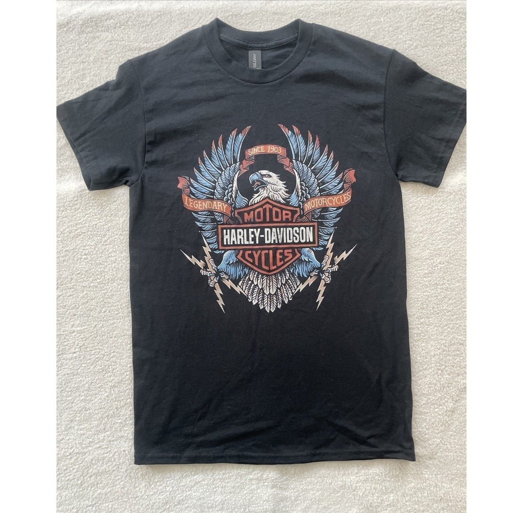 Harley-Davidson Mens Small Black T-Shirt Graphic Lightening Eagle